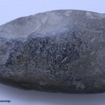 Neolithic stone axe found during re-development of Whites Hotel on Abbey Street